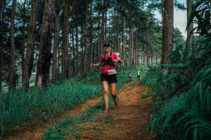 BIB: 
                            <button type="button" onclick="openModal(25752203)" class="btn btn-primary btn-sm float-right btn-popup" data-toggle="modal" data-target=".modal-high-quality">
                        <i class="fas fa-shopping-cart"></i> Add to Cart
                    </button>
                                            <button type="button" onclick="isThisMe(25752203, true)" class="btn btn-success btn-sm float-right btn-popup btn-isme hidden" data-toggle="tooltip" data-placement="bottom" title="นี่คือรูปของคุณใช่ไหม คลิกที่นี่เพื่อเอาเข้าอัลบั้ม">
                        <i class="fas fa-plus"></i> Add to album
                    </button>
                    <button type="button" onclick="isThisMe(25752203, false)" class="btn btn-warning btn-sm float-right btn-popup btn-isnotme hidden">
                        <i class="fas fa-ban"></i> Remove from album
                    </button>